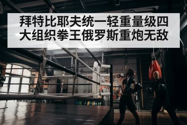boxer training